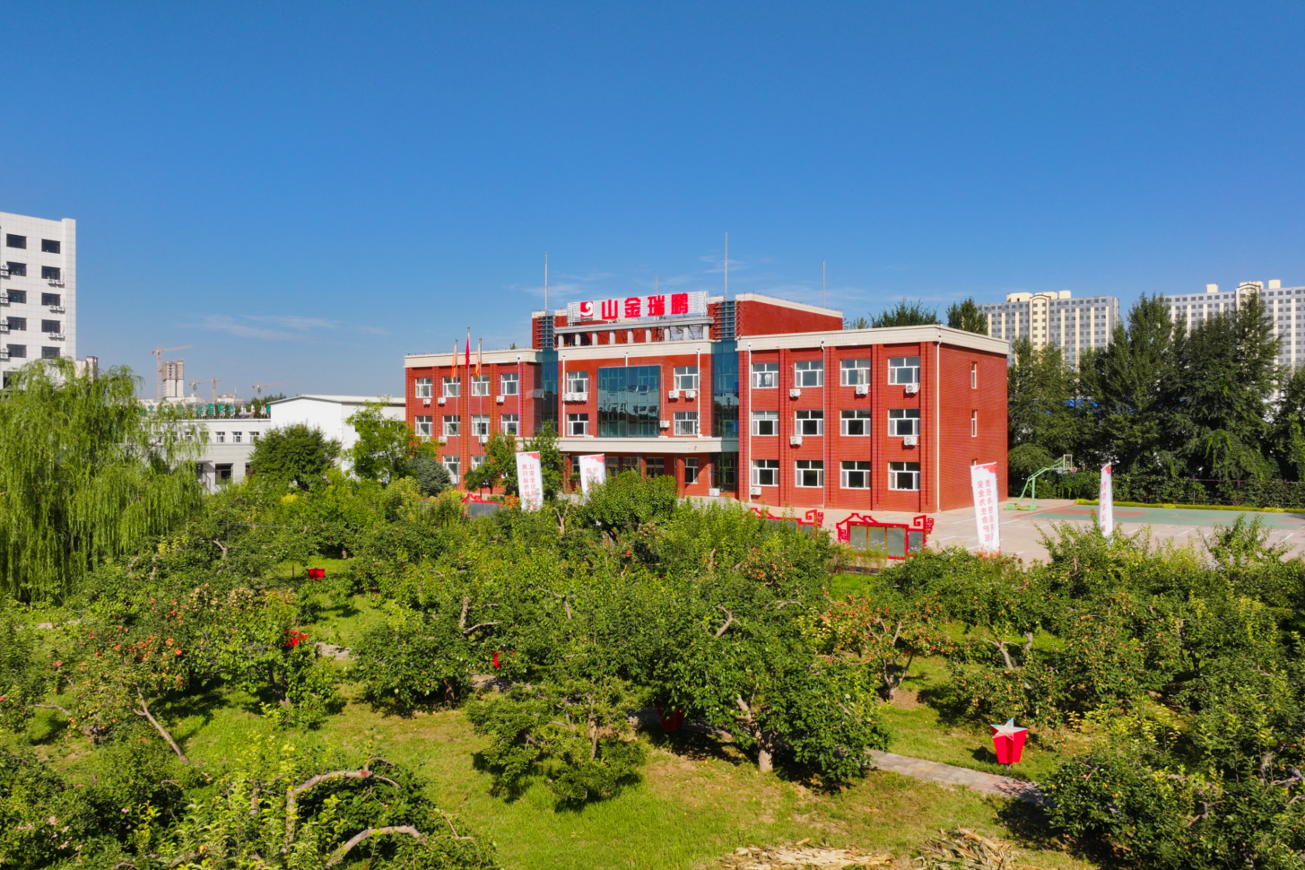 Top1体育官网-不凡成绩非凡,相信品牌的实力