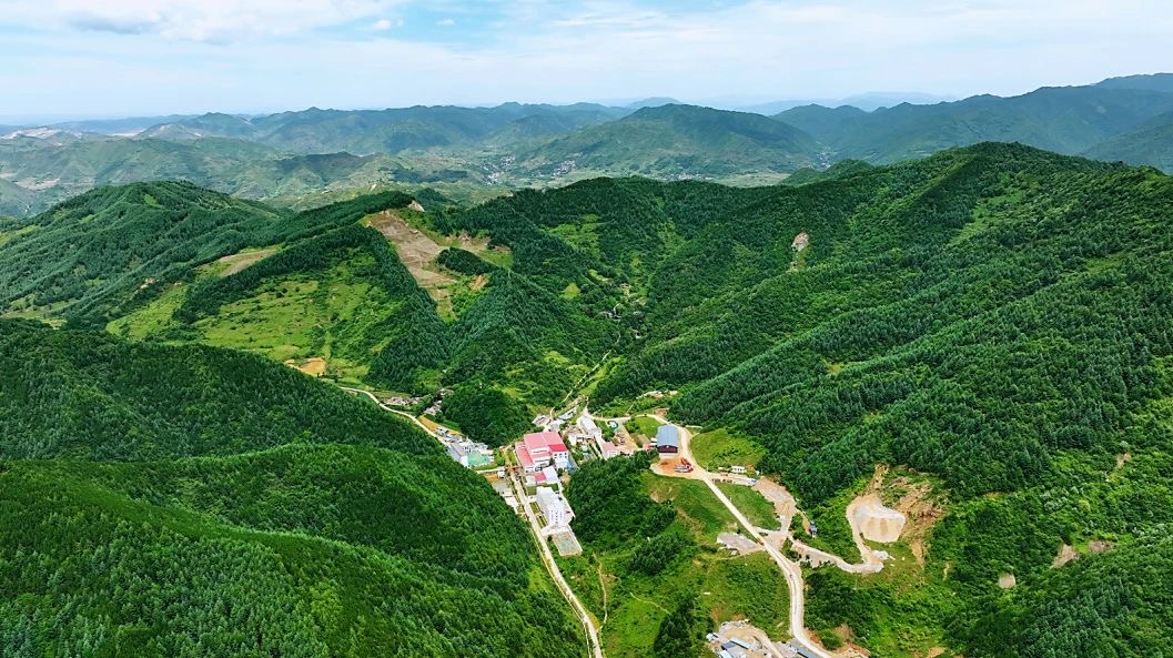 Top1体育官网-不凡成绩非凡,相信品牌的实力