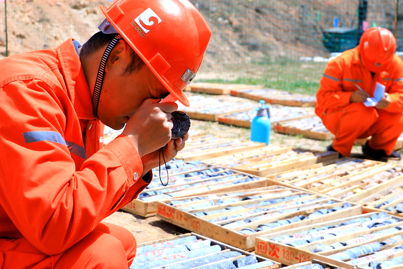 Top1体育官网-不凡成绩非凡,相信品牌的实力