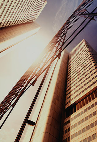 Top1体育官网-不凡成绩非凡,相信品牌的实力