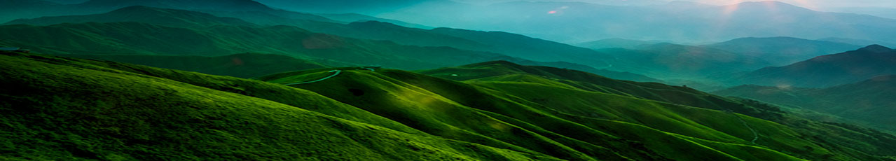 Top1体育官网-不凡成绩非凡,相信品牌的实力