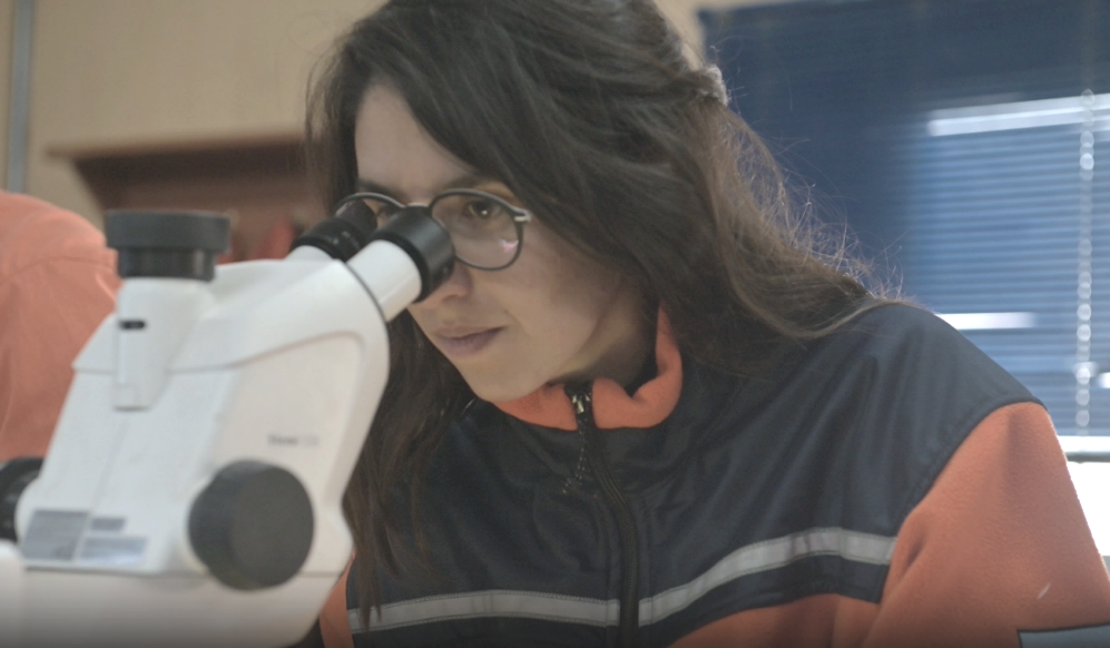 Top1体育官网-不凡成绩非凡,相信品牌的实力