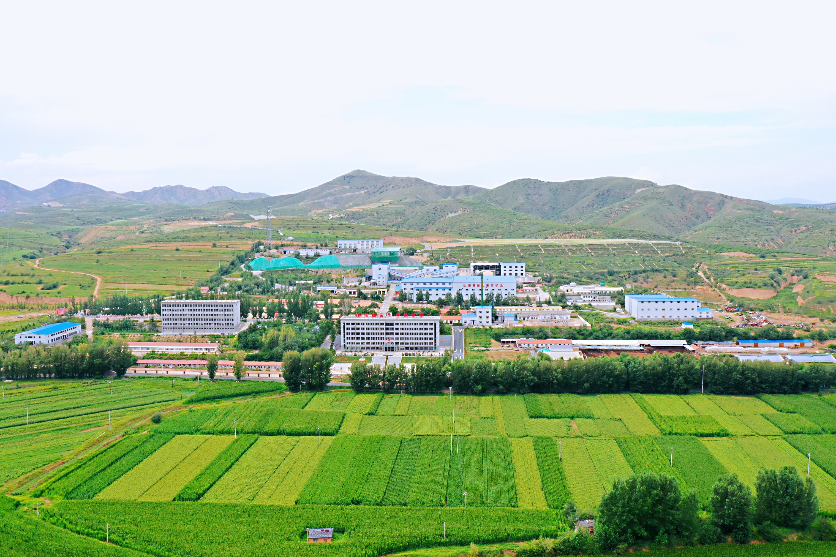 Top1体育官网-不凡成绩非凡,相信品牌的实力